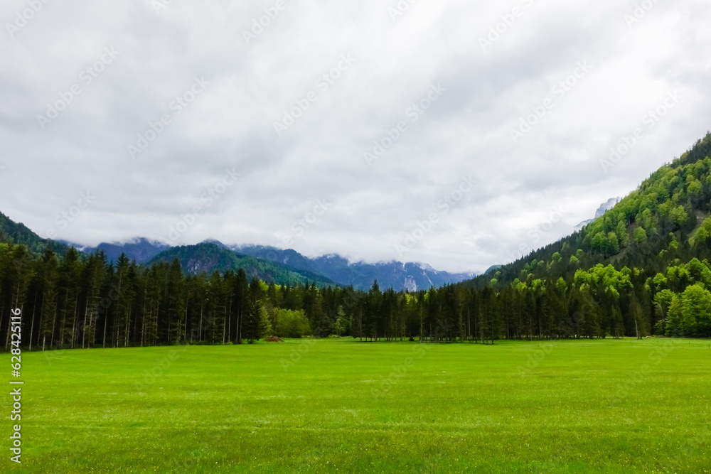 green meadow with a forest and mountains with dense clouds after rain