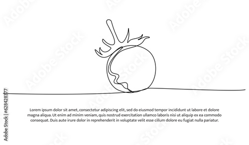 Tomato one continuous line design. Vegetable symbol concept. Decorative elements drawn on a white background.