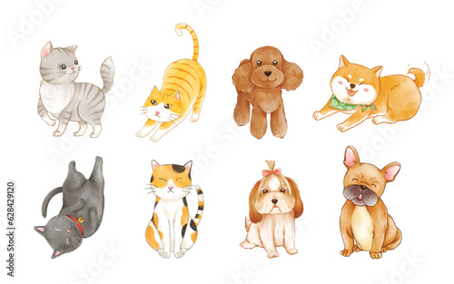 set of cute cats and dogs pet watercolor