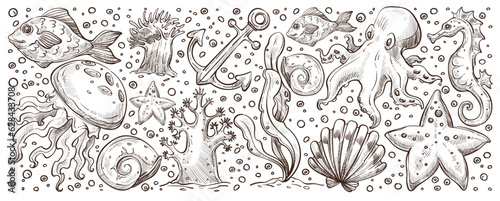 Sea and ocean life, underwater flora and fauna