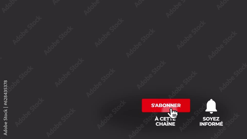 J'aime S'abonner Bouton 