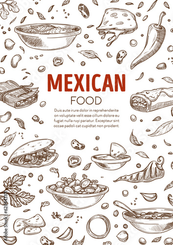 Mexican food menu, burrito and spicy dishes vector
