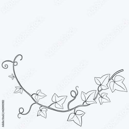 Floral ivy drawing decorative ornament flat design.