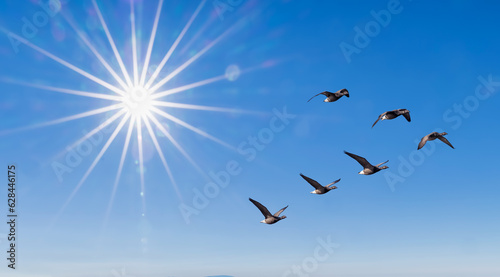 Wallpaper Mural Radiant sun illuminates a clear blue sky as a flock of ducks gracefully forms a V-shaped pattern, autumn or spring concepts Torontodigital.ca