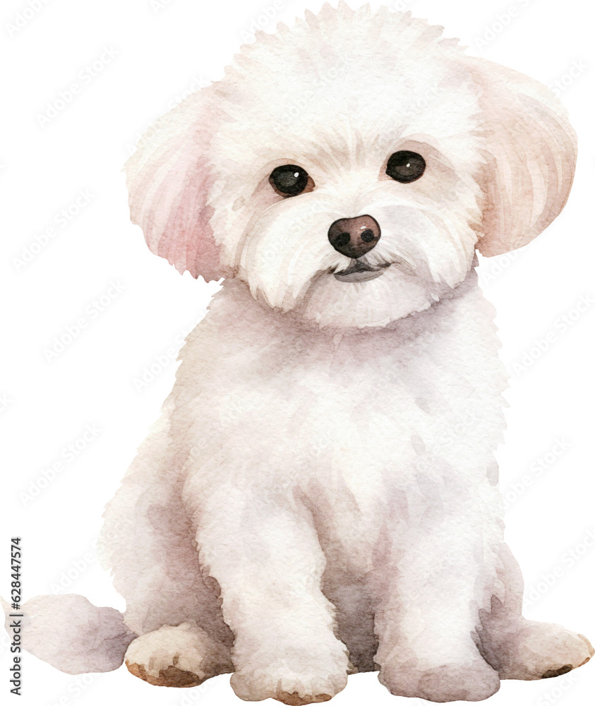 Obraz premium Bichon frise dog watercolour illustration created with Generative AI technology