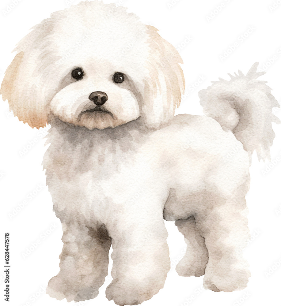 Bichon frise dog watercolour illustration created with Generative AI technology