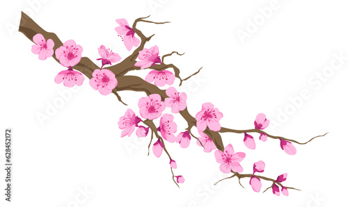 Cherry blossom tree branch with blooming flowers