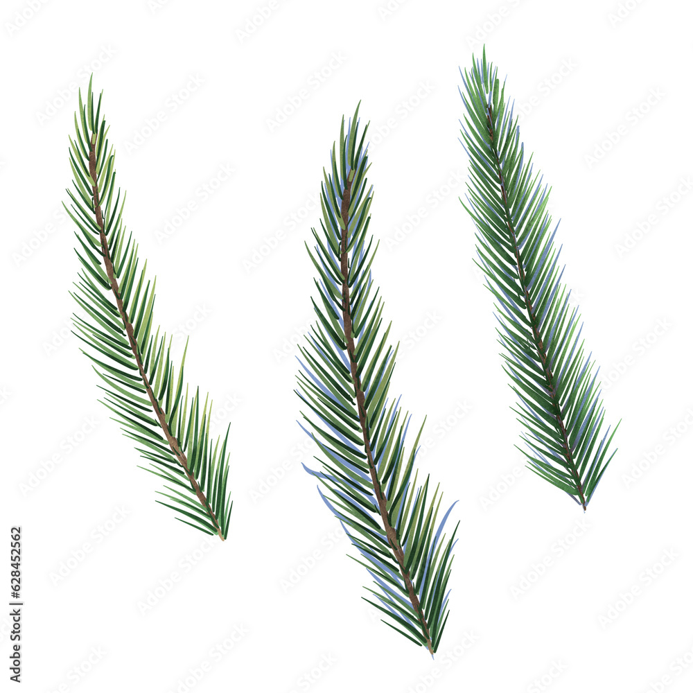 Spruce branches digital watercolor style illustration isolated on white. Cedar tree, pine plant, conifer hand drawn. Element for design Christmas invitation, card, new year design, holiday print Spruce branches digital watercolor style illustration isolated on white. Cedar tree, pine plant, conifer hand drawn. Element for design Christmas invitation, card, new year design, holiday print