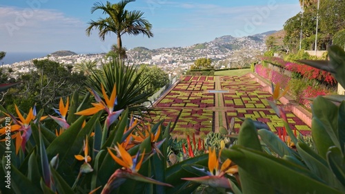 Gorgeous sunny view of the diverse vegetation of the island Madeira and Funchal city. Camera moves between colorful flowers in botanical garden of Funchal, Madeira