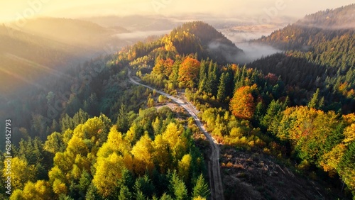 Aerial view of road between yellow and red autumn trees, morning fog, sunrise. Autumn landscape in the mountains. Autumn alpine forest