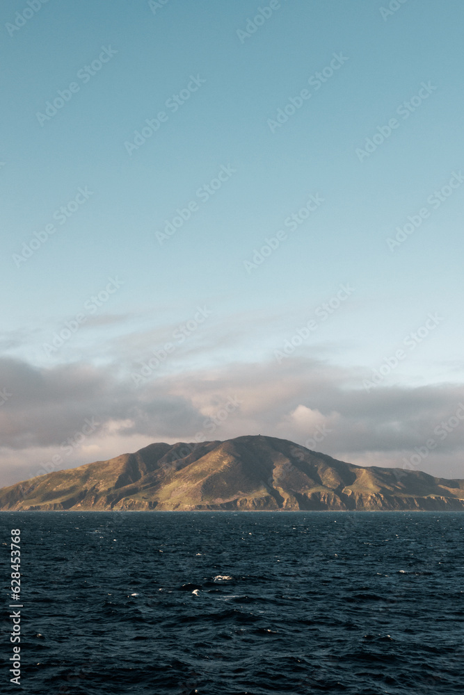 An image looking onto the coastline of Wellington New Zealand. The coast has beutiful light spanning accross it