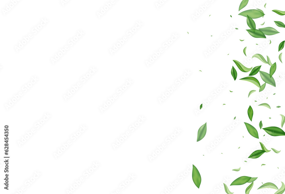 Mint Foliage Blur Vector White Background Mint Foliage Blur Vector White Background