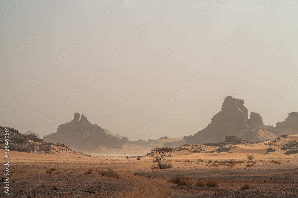 iew in the Sahara desert of Tadrart rouge tassili najer in Djanet City  ,Algeria.colorful orange sand, rocky mountains