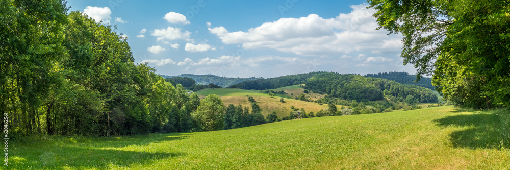 Odenwald Landschafts Panorama 3:9