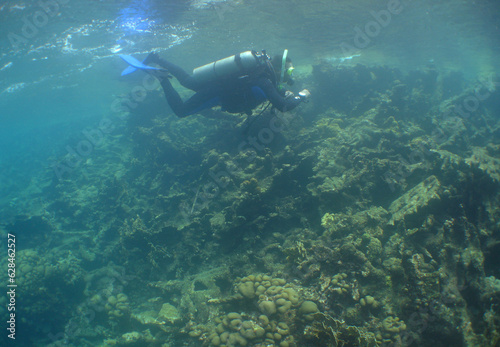 divers exploring a reef in the crystal clear waters of the caribbean sea