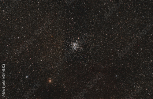 Wild duck cluster photo