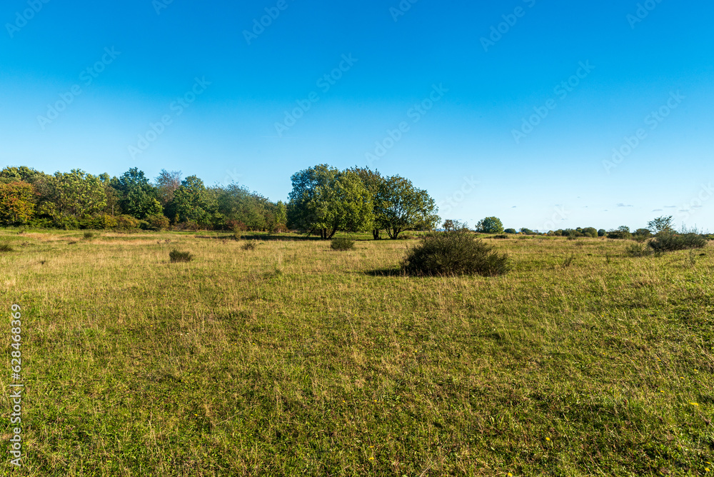 Naturschutzgebiet Grosser Weidentecih near Plauen city in Germany