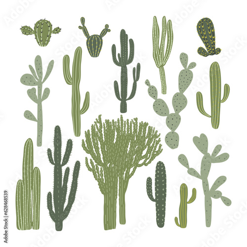 Set of hand drawn different cactuses