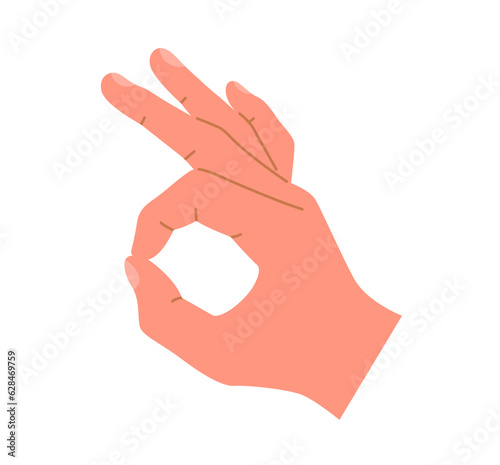 Hand showing OK sign. Human hand gesture. Vector illustration on an isolated white background.