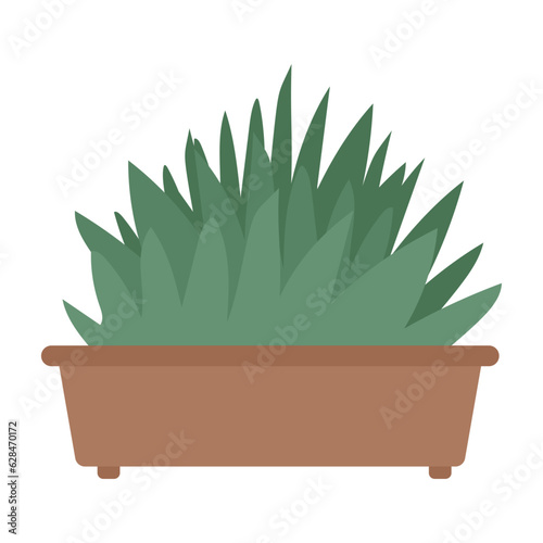 Indoor plant monstera in a pot for interior decor at home, office, indoor use.  Trendy home decor with plants, urban jungle.