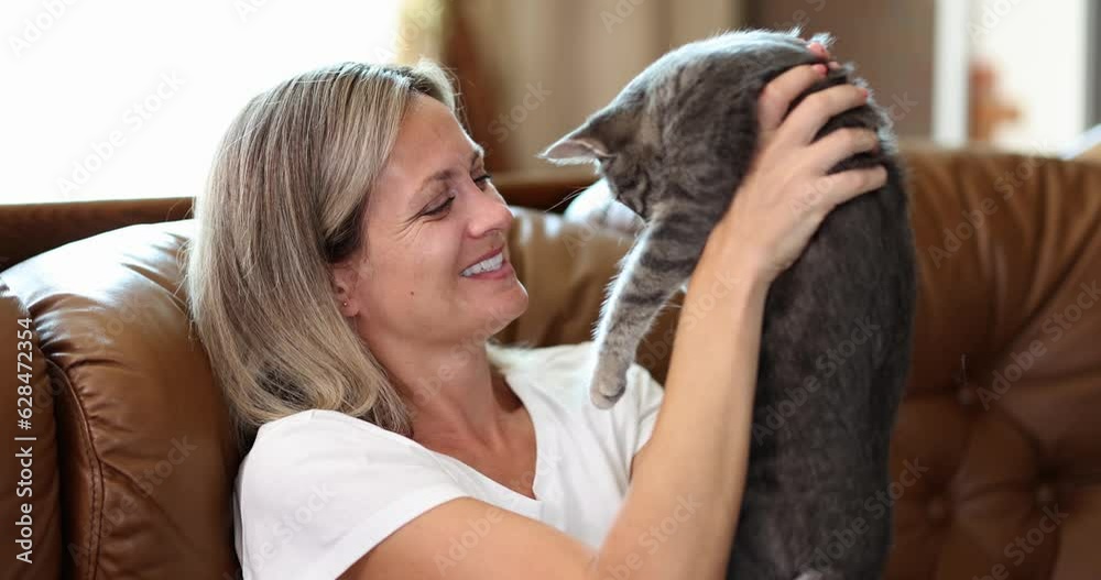 Joyful female hostess holds gray beautiful cat and sits on sofa at home in living room. Concept of volunteering and girl playing with pet Joyful female hostess holds gray beautiful cat and sits on sofa at home in living room. Concept of volunteering and girl playing with pet