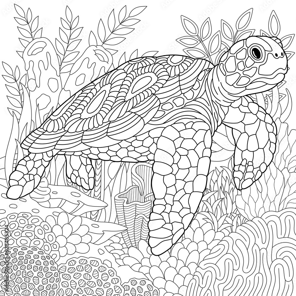 Adult colouring page with a turtle. Outline intricate underwater design ...