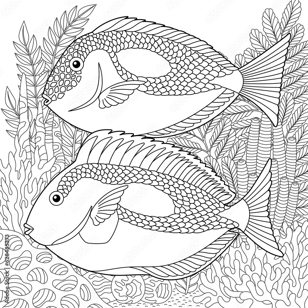 Blue Bone Fish Colouring In Adult colouring page with blue tang fishes. Outline intricate ...
