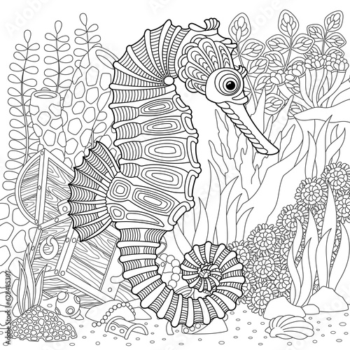 Adult colouring page with a seahorse. Outline intricate underwater design.