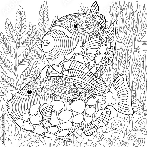 Adult colouring page with triggerfish fishes. Outline intricate underwater design.