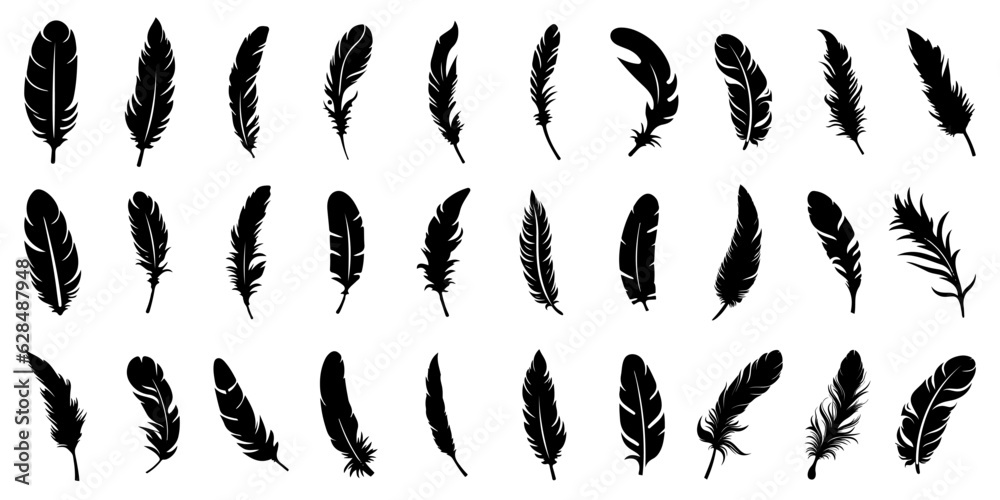 Feather icons. Set of black feather icons isolated. Feather silhouettes. - obrazy, fototapety, plakaty 