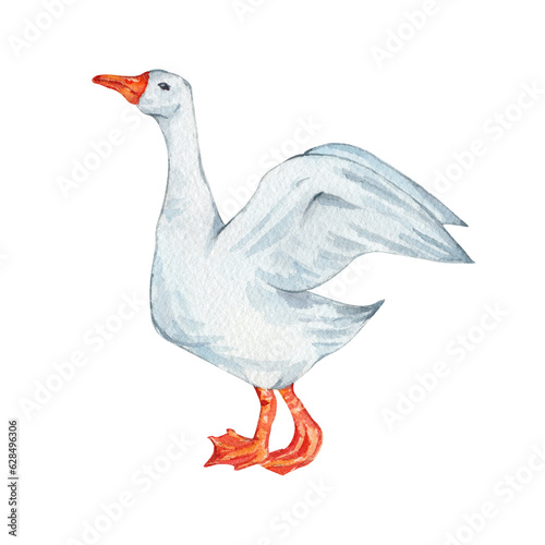 Quadro su tela Watercolor goose flapping its wings