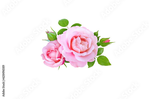 Pink rose flowers, buds and leaves bunch isolated transparent png