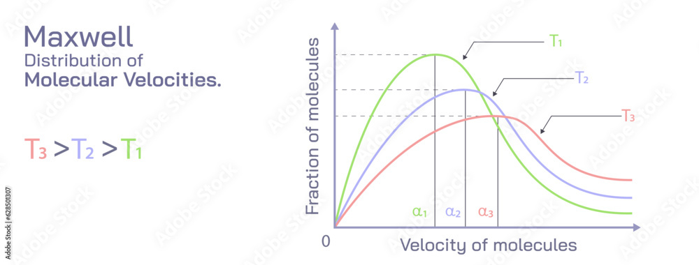 The fraction of molecules with extremely low or extremely high velocities is extremely small. The fraction of molecules with higher velocities increase until it reaches a plateau. Maxwell distribution - obrazy, fototapety, plakaty 