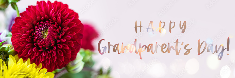 Text Happy Grandparents Day. Beautiful dahlias on pink background. Bouquet of colorful dahlia flowers. Text Happy Grandparents Day. Beautiful dahlias on pink background. Bouquet of colorful dahlia flowers.
