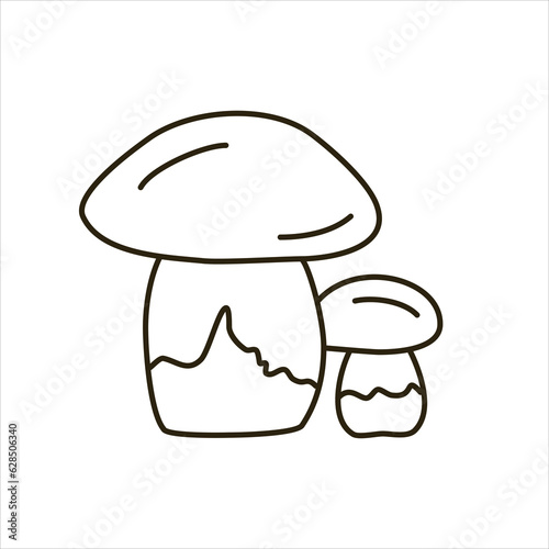 Vector line doodle illustration of mushrooms.