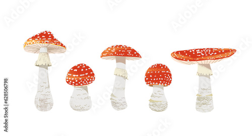 Set of inedible fly agarics of various shapes and sizes. Vector illustration of toadstools with white leg in skirt and red polka dot hat with trendy textures for design projects.