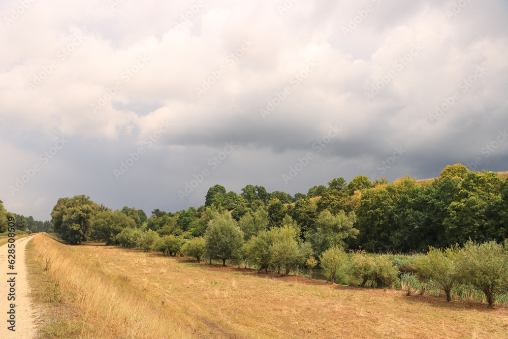 Fototapeta premium Donauradweg bei Vohburg