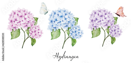 Set of beautiful watercolor hydrangea bouquets and butterflies