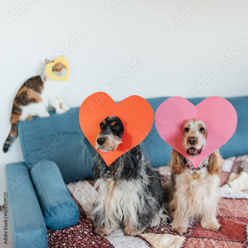 Canvas Print English cocker spaniels dogs celebrate valentine's day