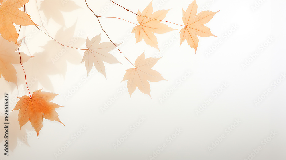 white background with copy space yellow autumn leaves layer postcard. white background with copy space yellow autumn leaves layer postcard.