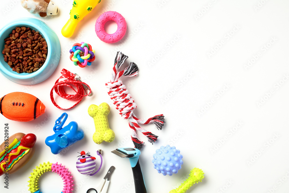 Colorful pet supplies and toys on white background. Flat lay, top view.