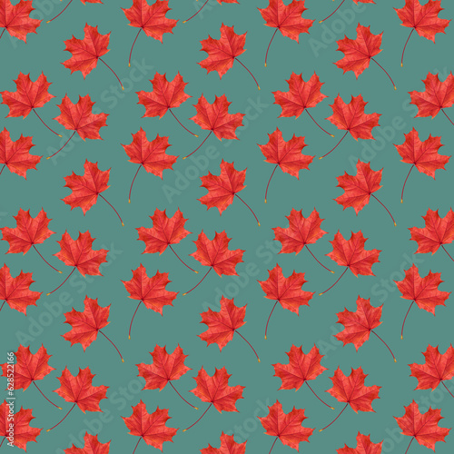 Autumn pattern. Autumn red maple leaves. Pattern of autumn red maple leaves o...