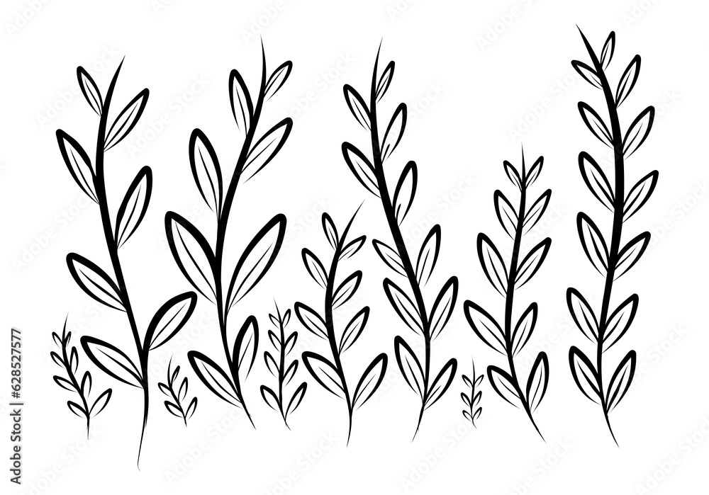 Obraz premium Hand drawn Botanical flower line art