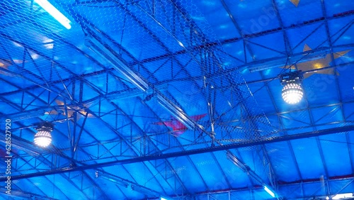 Bumper cars powered by pole-mounted contact shoes that supply power from a conductive ceiling. A mirror ball or disco ball, a sphere covered with many flat mirrors. Light spots and neon lamps. Dodgems photo