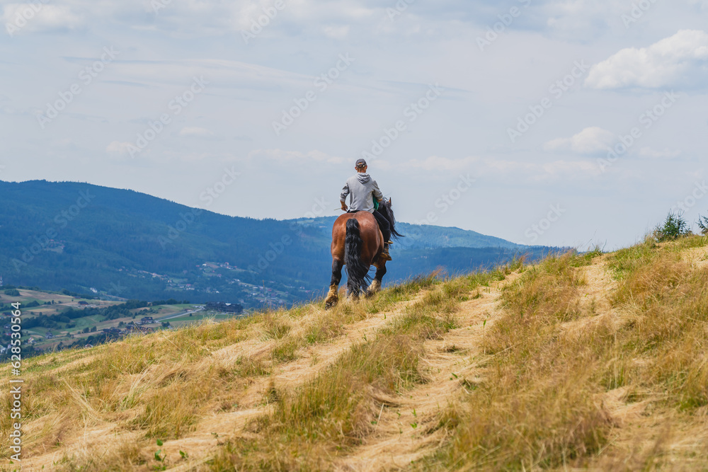 A man on a horse. Mountain landscape.