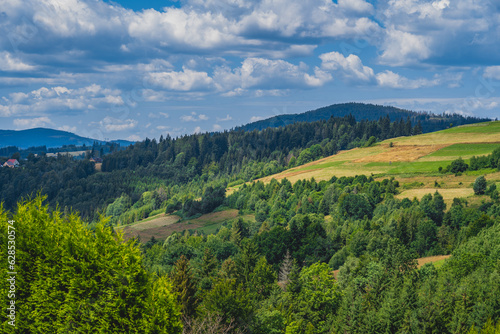 Fototapeta Naklejka Na Ścianę i Meble -  View of the Beskids on a beautiful summer day. The region of Poland, the Czech Republic and Slovakia.
