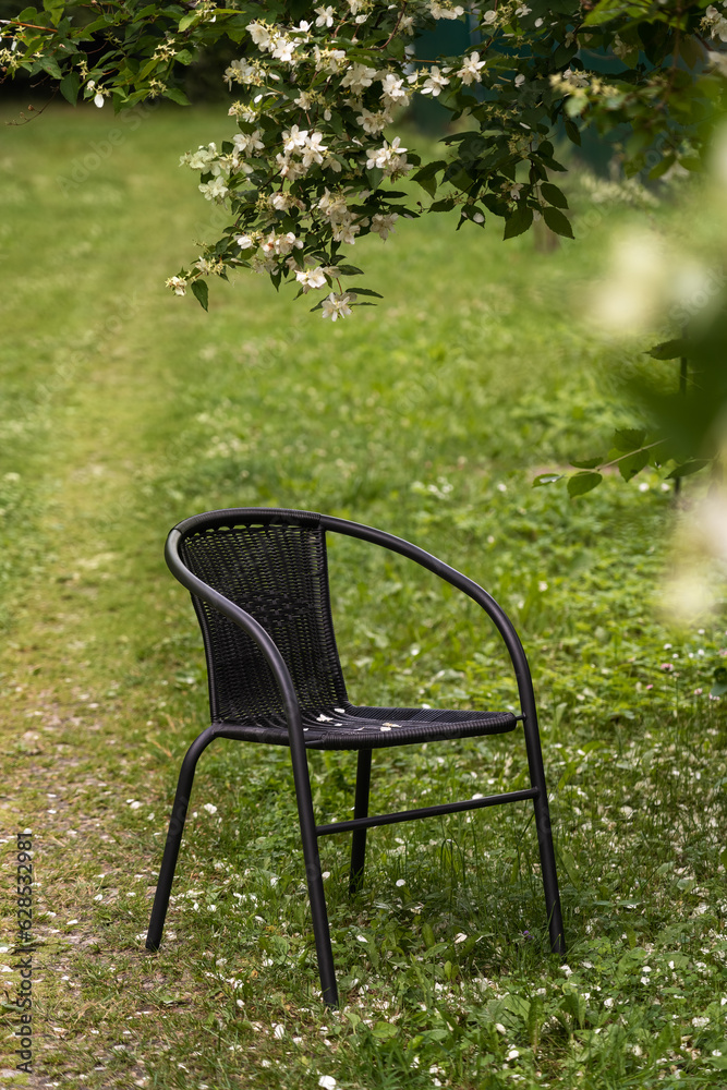 Wicker rattan black chair stands in green summer garden under flowering jasmine bush. Garden furniture. Country style Wicker rattan black chair stands in green summer garden under flowering jasmine bush. Garden furniture. Country style