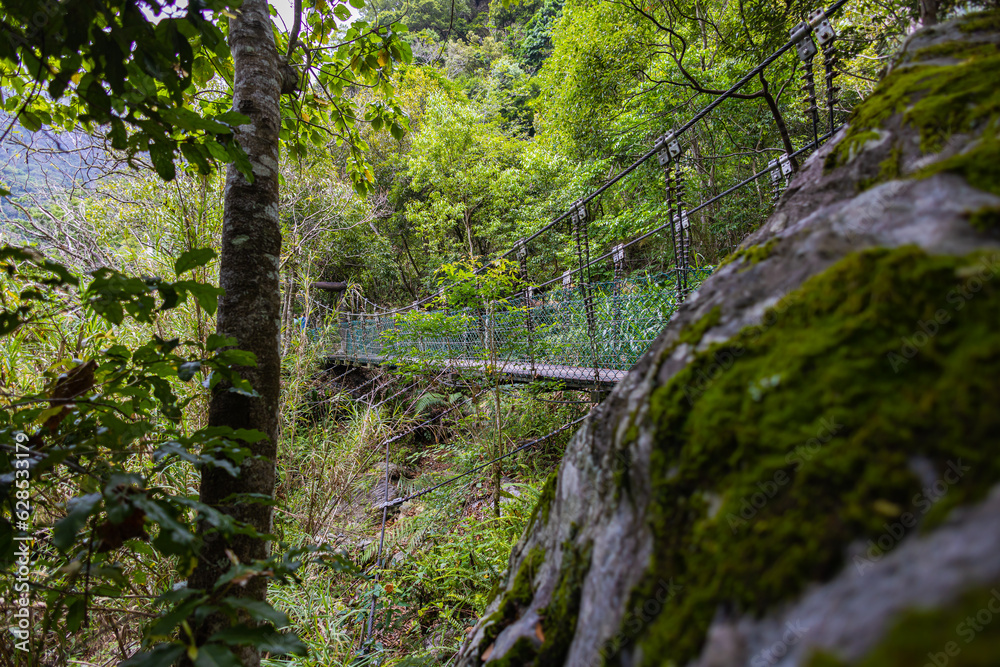 Breathtaking suspension bridge gracefully spans a deep amidst the