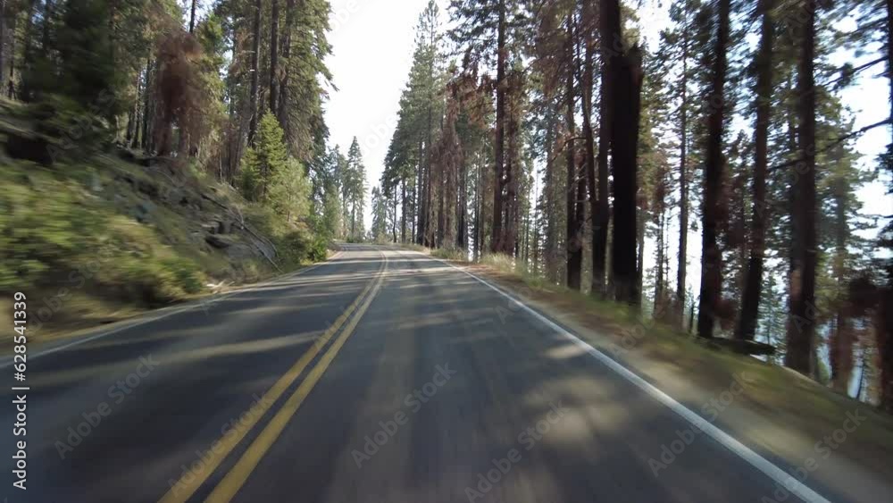 Sequoia National Park Generals Highway Southbound 05 Multi Camera Front View Driving Plate Sierra Nevada Mts California USA Sequoia National Park Generals Highway Southbound 05 Multi Camera Front View Driving Plate Sierra Nevada Mts California USA