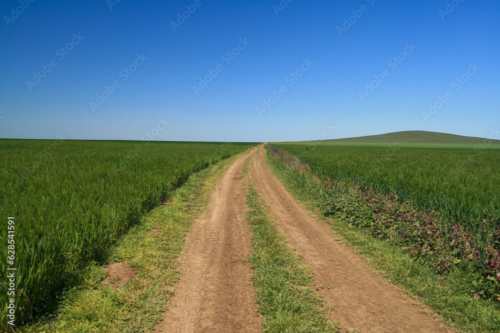 Dirt road among fields, Taman Peninsula, Russia.